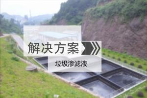 ��Ĥ�������B�VҺ̎�����g